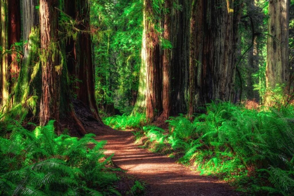 Bear Mountain - Suite 1 Grants Pass Dış mekan fotoğraf