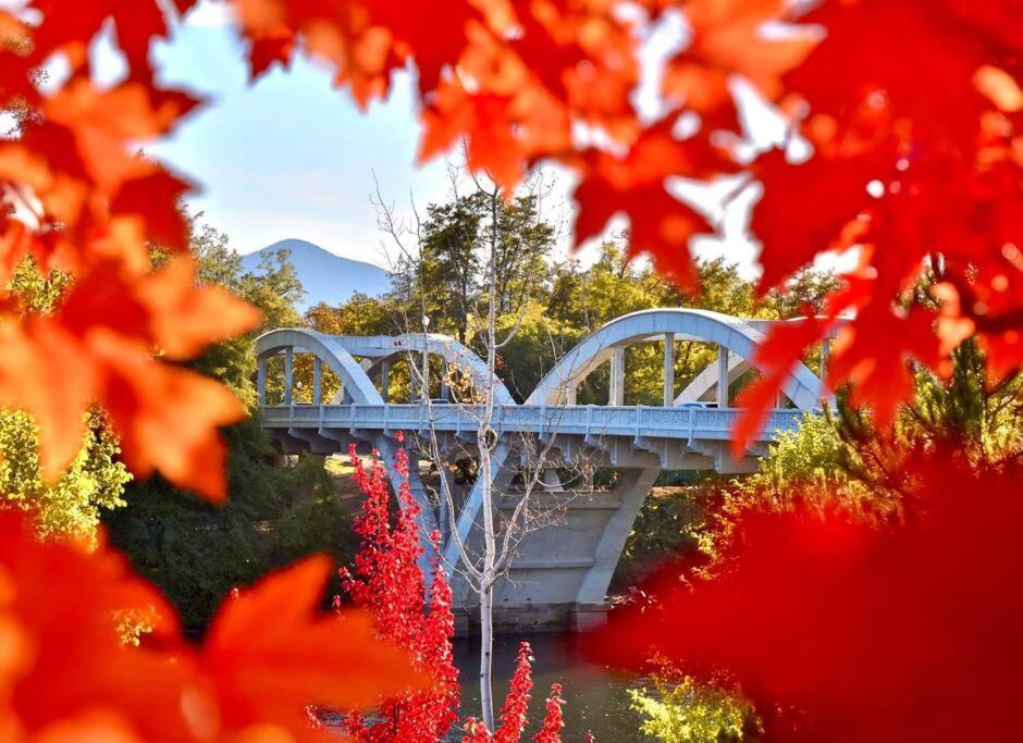 Bear Mountain - Suite 1 Grants Pass Dış mekan fotoğraf
